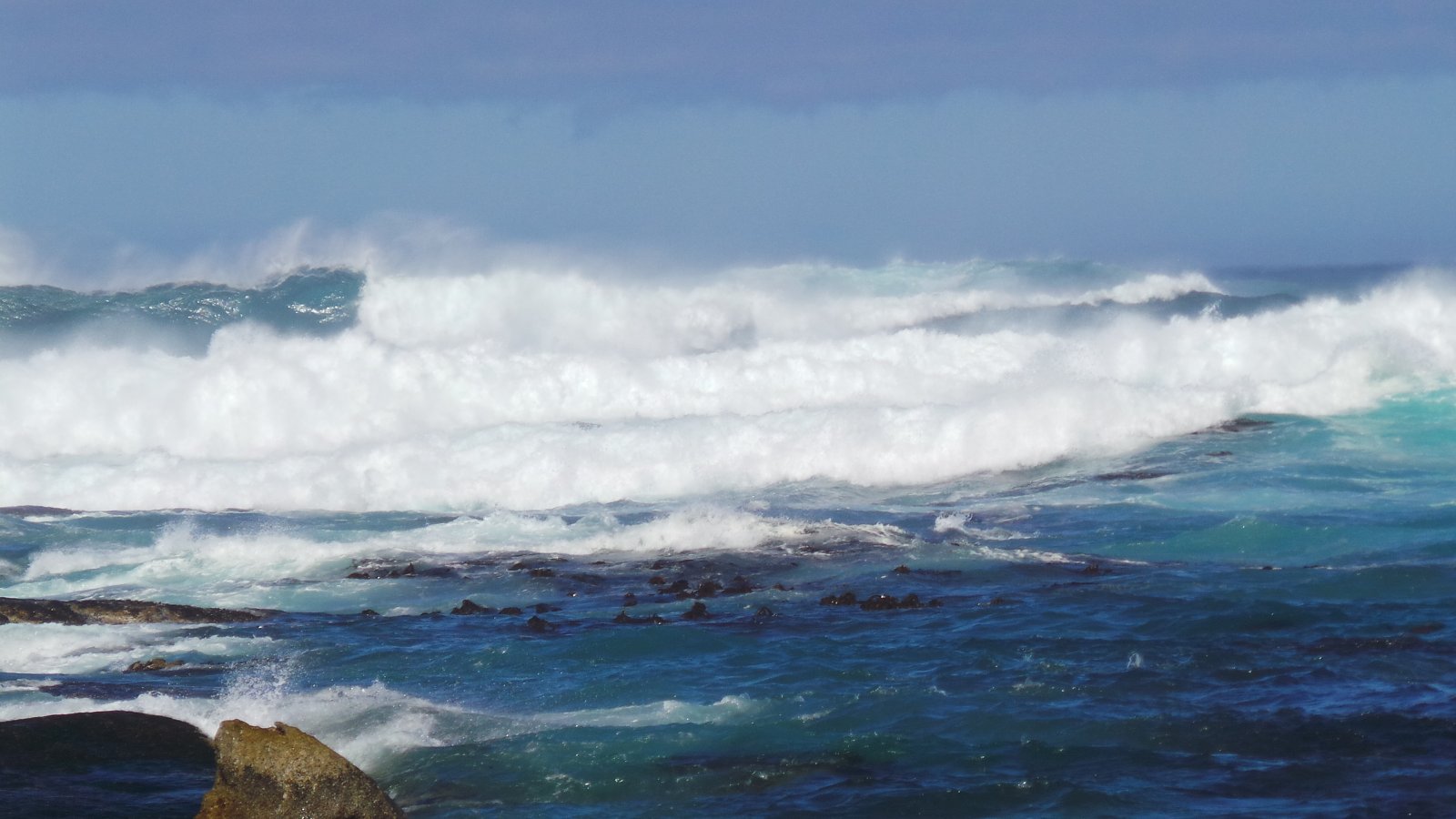 Seal Watching33
